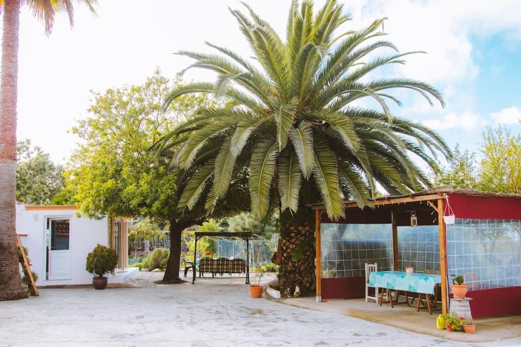 Casita Gopal Villa อิคอดเดลอสวินอส ภายนอก รูปภาพ